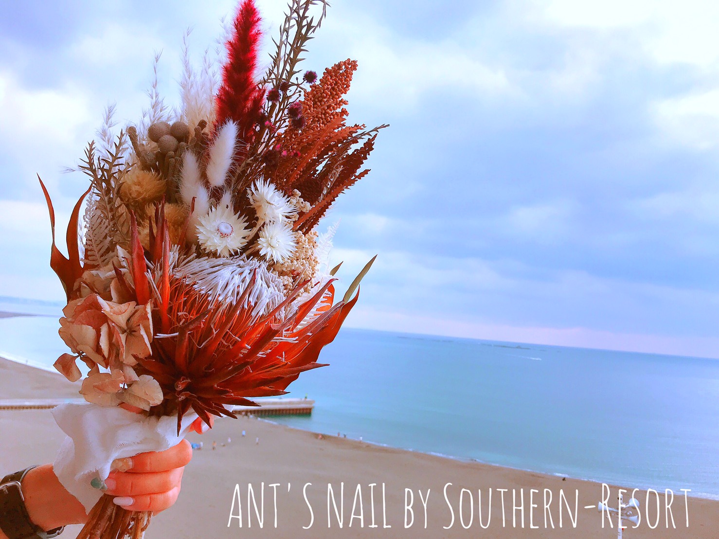 ANT`S NAIL by Southern-Resort