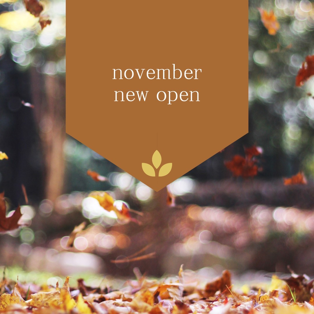 november new open